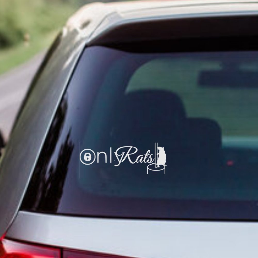 Only Rats- Funny Rats Vinyl Decals Car, Laptop, Windows, Phone Case Sticker